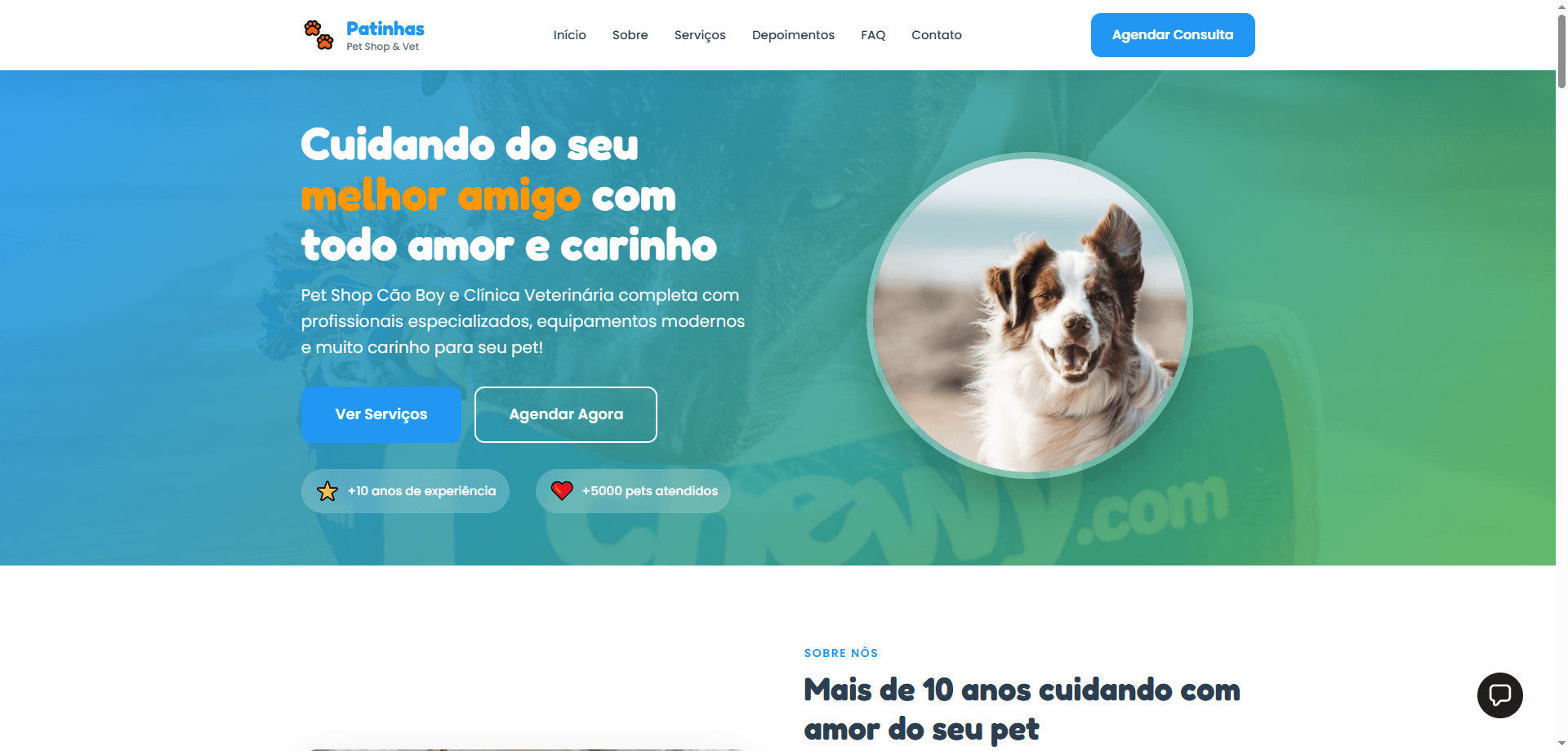 Home do site — Petshop